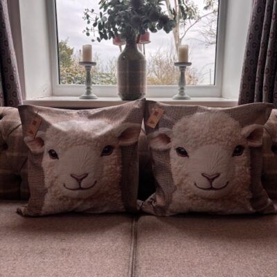 Alpaca Fleece Filled Sheep Print Scatter Cushions