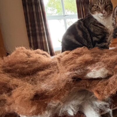 Alpaca Hand Felted Alpaca Fleece Pet Pad